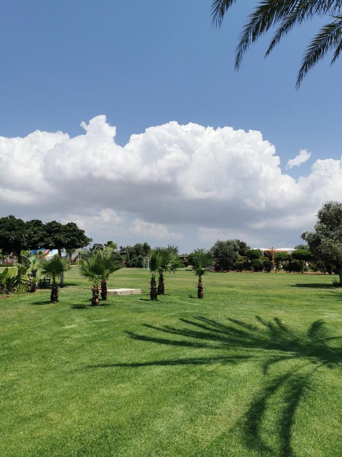 Green Apartment In Bafra Northern Cyprus Vokolidha Exterior foto
